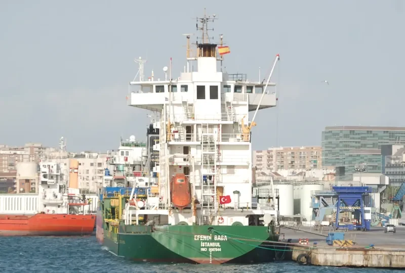 EFENDI BABA Container Ship IMO 9087544 photo 10