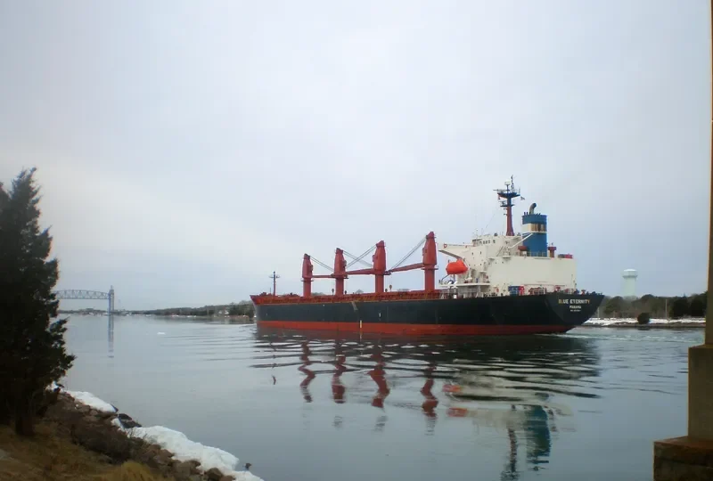 BLUE ETERNITY Bulk Carrier IMO 9087647