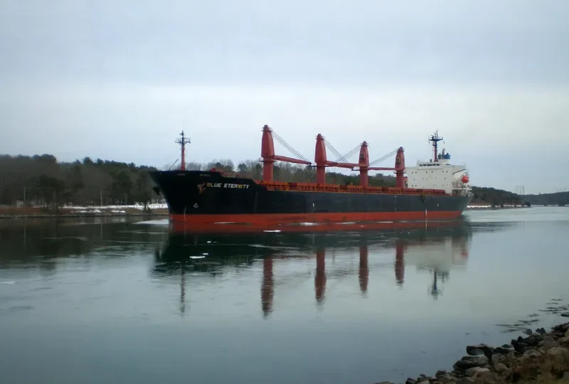 BLUE ETERNITY Bulk Carrier IMO 9087647 photo 2