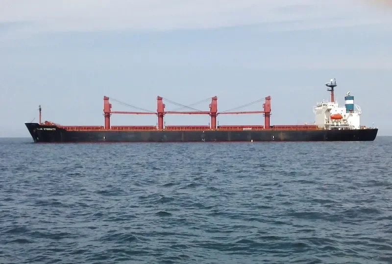 BLUE ETERNITY Bulk Carrier IMO 9087647 photo 3