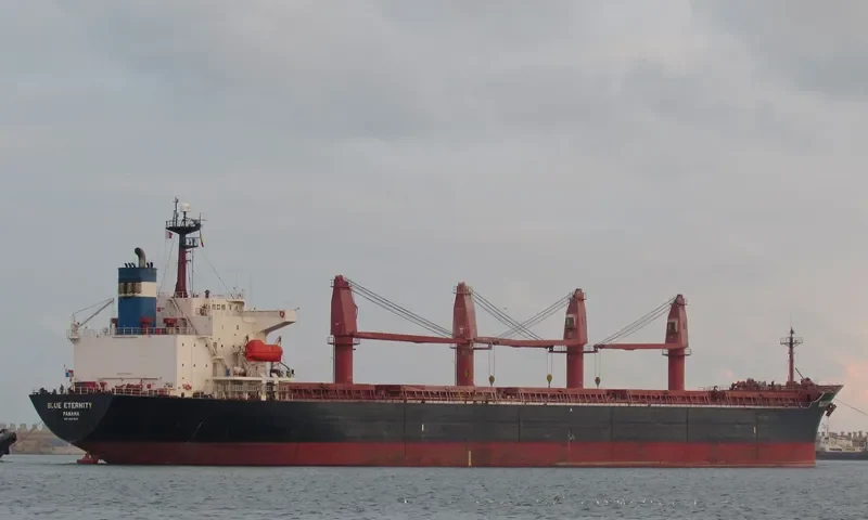 BLUE ETERNITY Bulk Carrier IMO 9087647 photo 4
