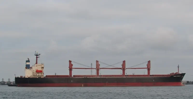 BLUE ETERNITY Bulk Carrier IMO 9087647 photo 5