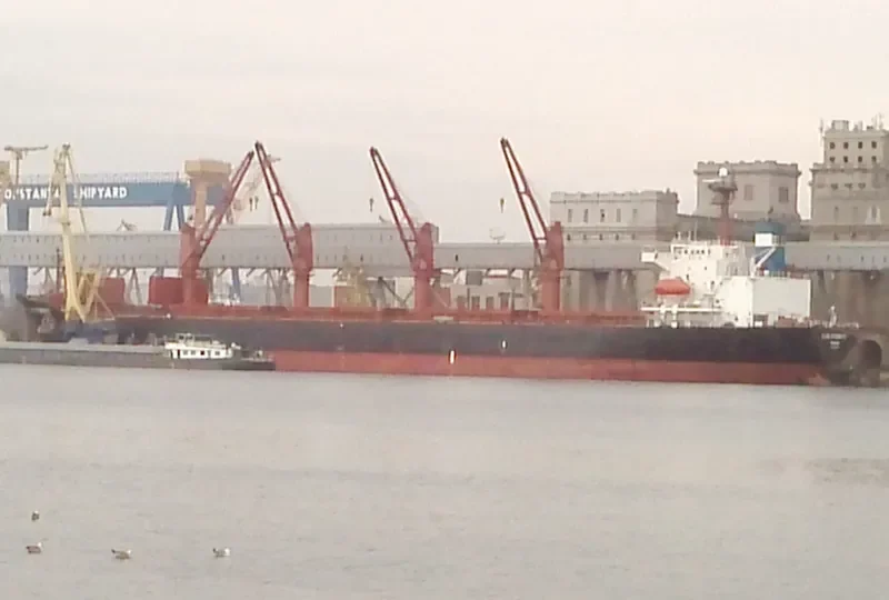 BLUE ETERNITY Bulk Carrier IMO 9087647 photo 6