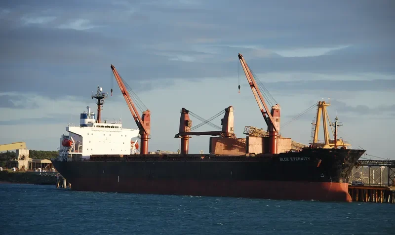 BLUE ETERNITY Bulk Carrier IMO 9087647 photo 8
