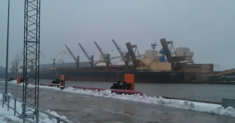 BLUE ETERNITY Bulk Carrier IMO 9087647 photo 9