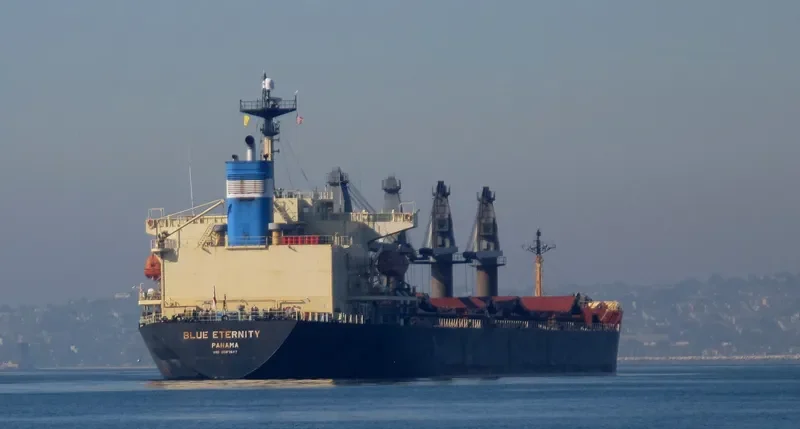 BLUE ETERNITY Bulk Carrier IMO 9087647 photo 10