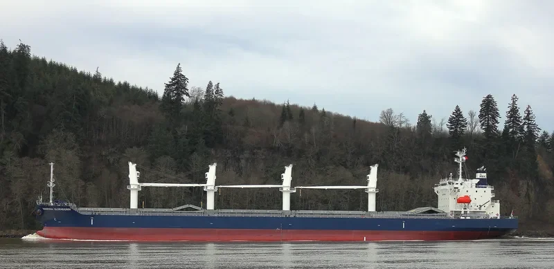 AARTI PREM Bulk Carrier IMO 9087738 photo 2