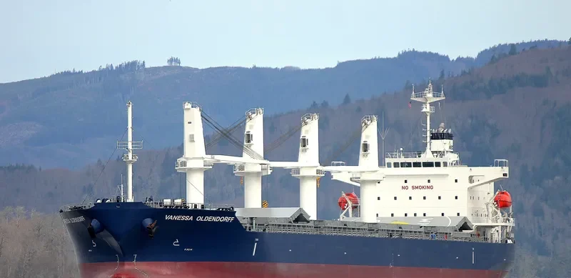 AARTI PREM Bulk Carrier IMO 9087738 photo 4
