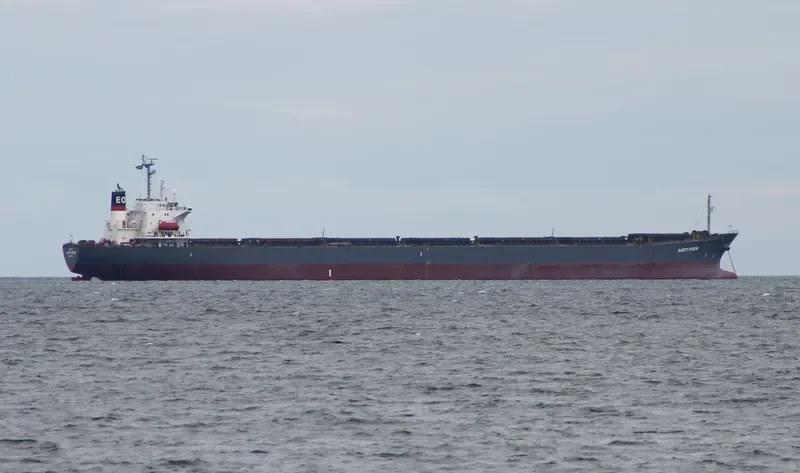 AARTI PREM Bulk Carrier IMO 9087738 photo 6
