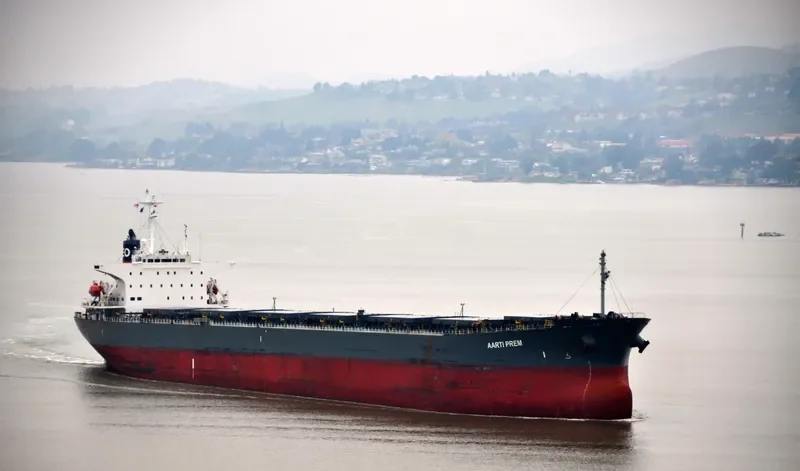 AARTI PREM Bulk Carrier IMO 9087738 photo 8