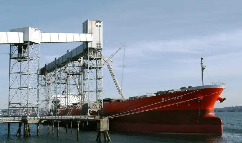 GUO DIAN 20 Bulk Carrier IMO 9087752 photo 4