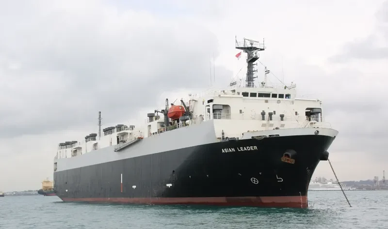 SULAWESI LEADER General Cargo IMO 9087764 photo 2