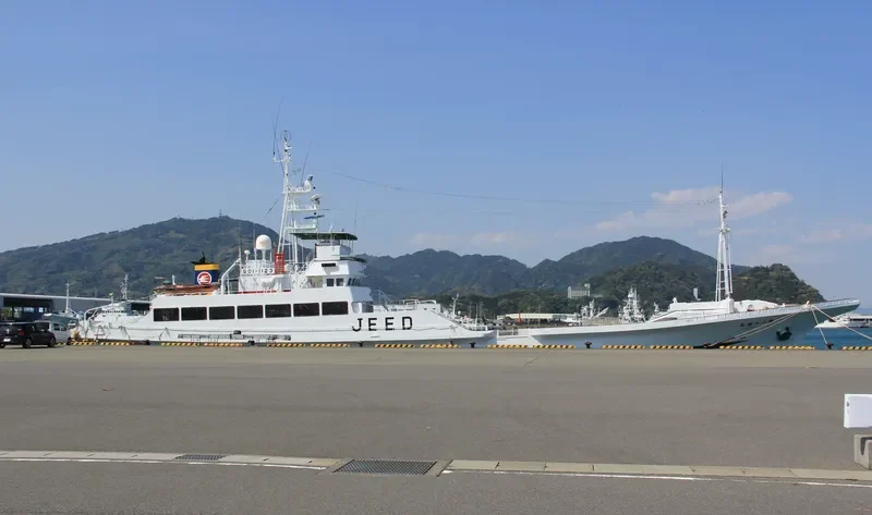 EISEI MARU NO.8 General Cargo IMO 9087790 photo 7