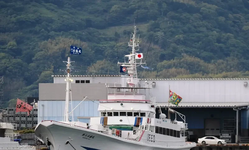 EISEI MARU NO.8 General Cargo IMO 9087790 photo 9