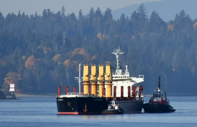 WORSHIP LIGHT Bulk Carrier IMO 9087805 photo 2