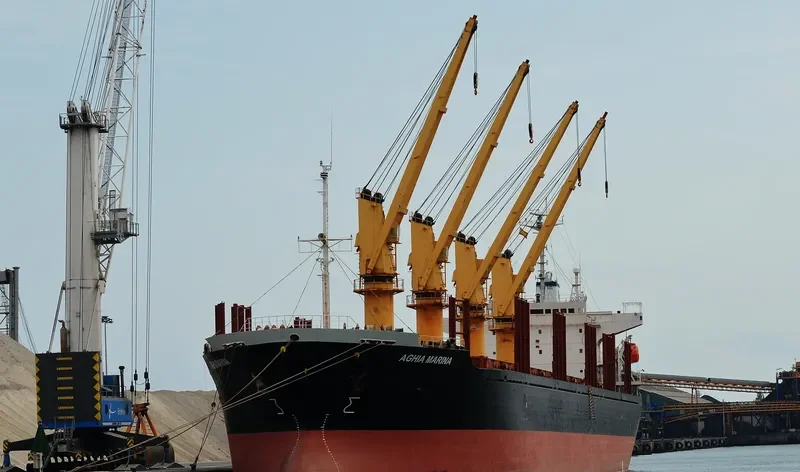 WORSHIP LIGHT Bulk Carrier IMO 9087805 photo 3