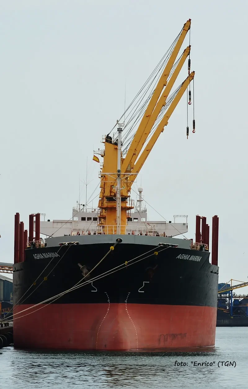 WORSHIP LIGHT Bulk Carrier IMO 9087805 photo 4