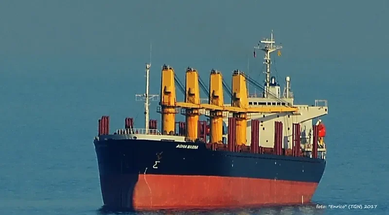 WORSHIP LIGHT Bulk Carrier IMO 9087805 photo 6
