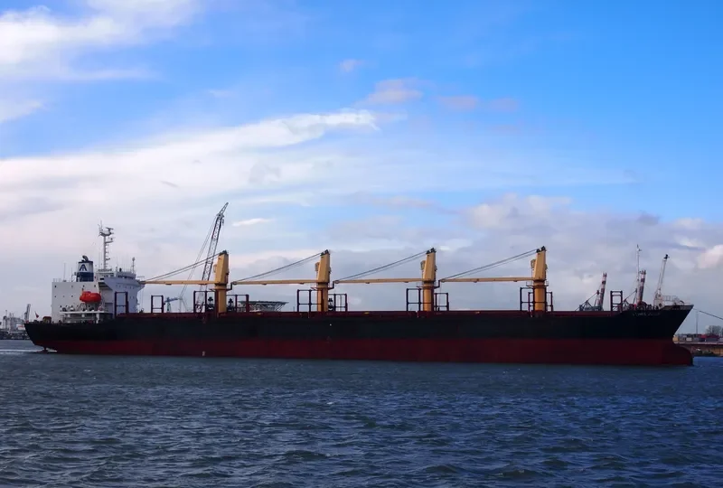 WORSHIP LIGHT Bulk Carrier IMO 9087805 photo 8