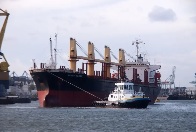 WORSHIP LIGHT Bulk Carrier IMO 9087805 photo 10