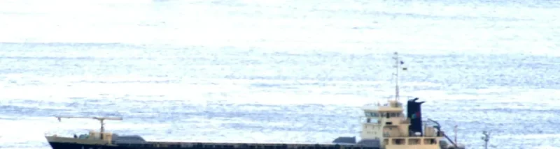 KATSURAGI MARU General Cargo IMO 9087817 photo 2