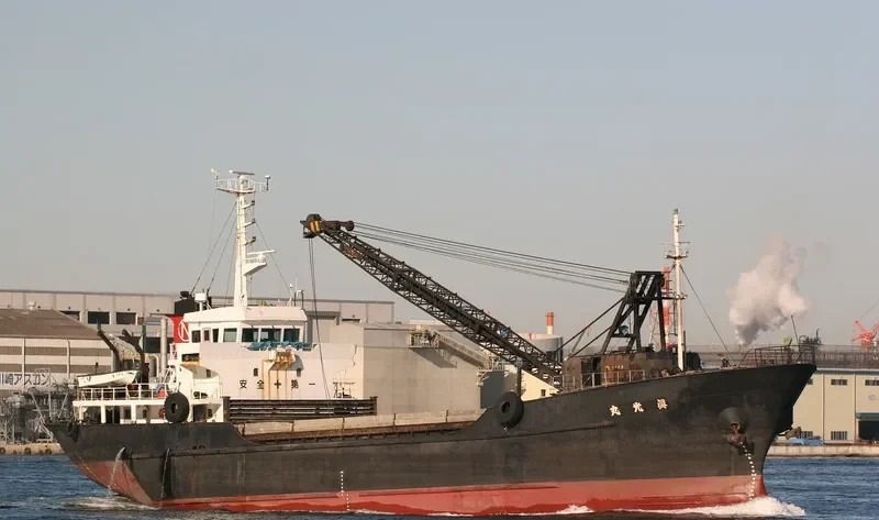 SHINKO MARU General Cargo IMO 9087831