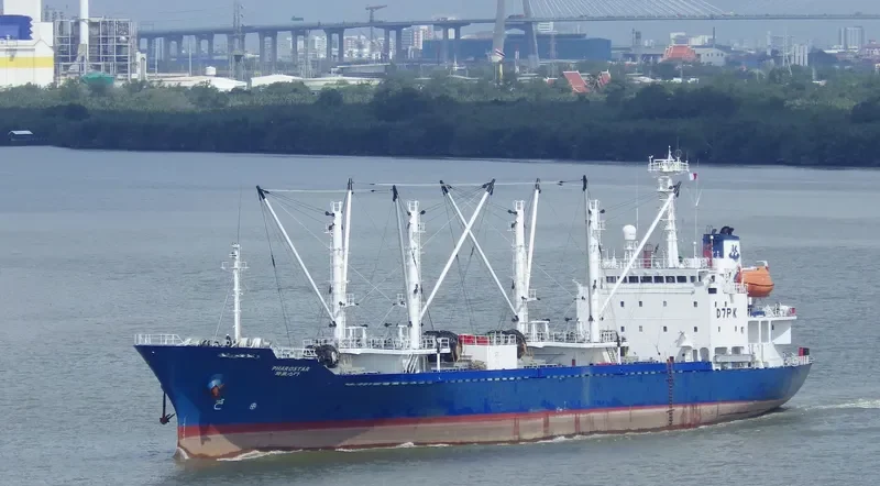 PHAROSTAR General Cargo IMO 9087910 photo 3