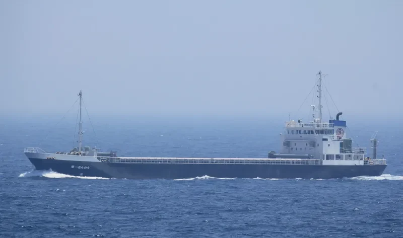 MV/SF ICON General Cargo IMO 9087922