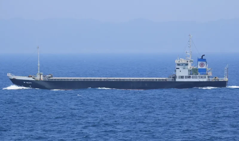 MV/SF ICON General Cargo IMO 9087922 photo 2