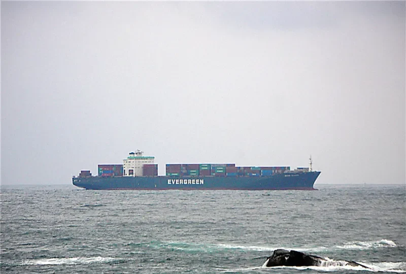EVER RACER Container Ship IMO 9088110 photo 3