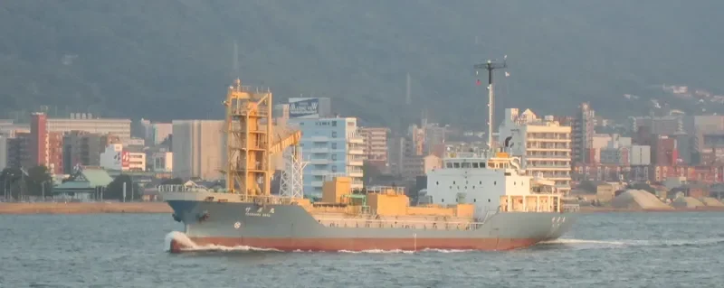 TAKEHARA MARU Bulk Carrier IMO 9088160 photo 2