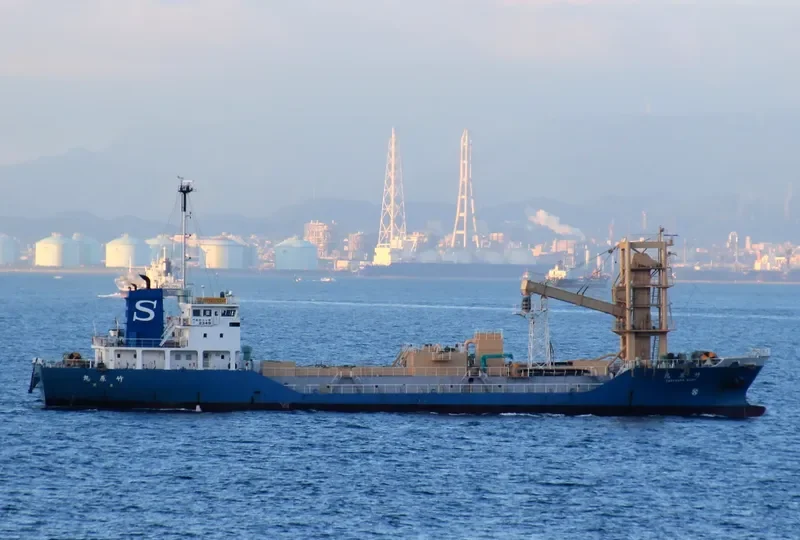 TAKEHARA MARU Bulk Carrier IMO 9088160 photo 7