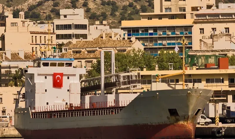 UNYECEM 1 General Cargo IMO 9088275 photo 9