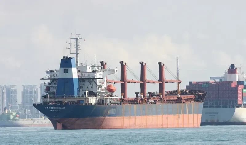 NORM Bulk Carrier IMO 9088392 photo 2