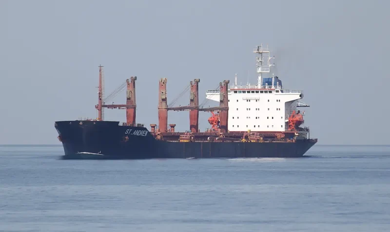 NORM Bulk Carrier IMO 9088392 photo 4