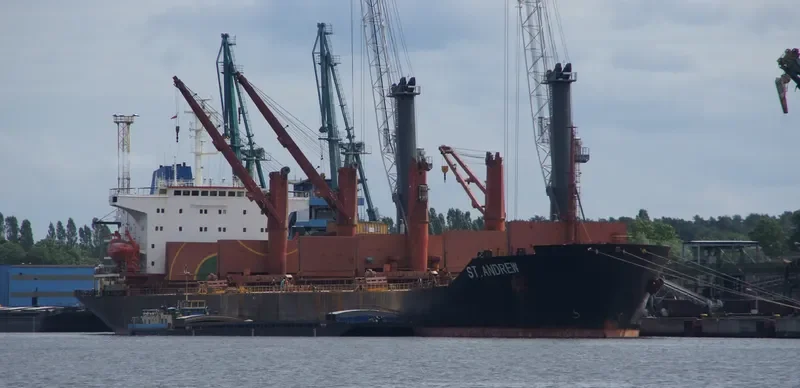 NORM Bulk Carrier IMO 9088392 photo 6