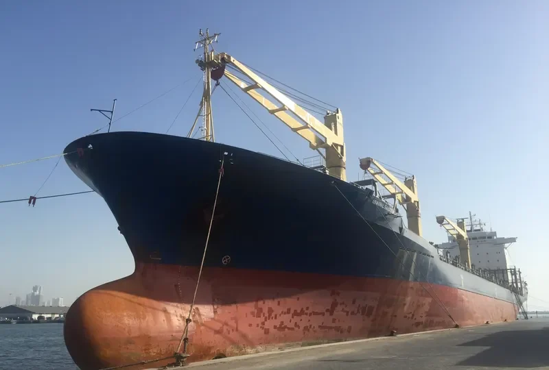 AEOLUS Container Ship IMO 9088524 photo 3