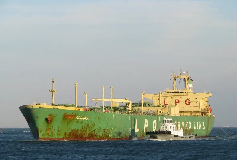 EVERRICH 10 General Cargo IMO 9088536 photo 3