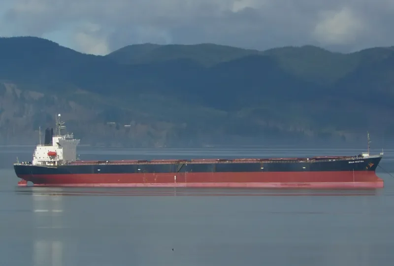 HUA HENG 165 Bulk Carrier IMO 9088562 photo 2