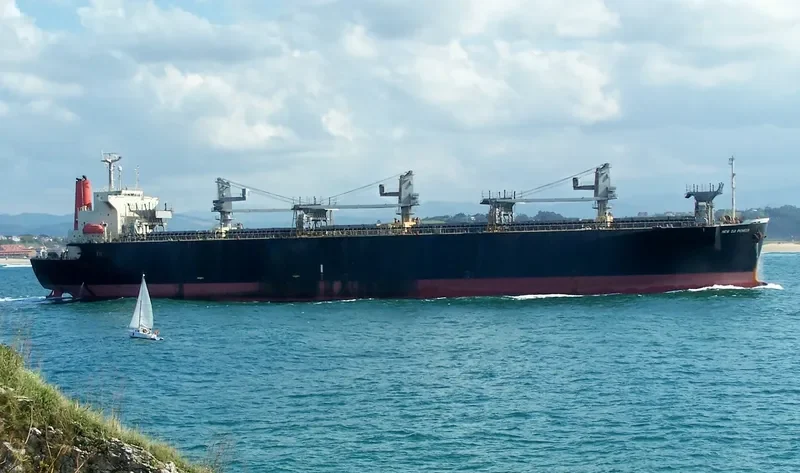 NEW OJI PIONEER Bulk Carrier IMO 9088574 photo 2