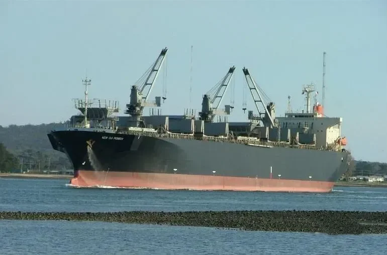 NEW OJI PIONEER Bulk Carrier IMO 9088574 photo 8