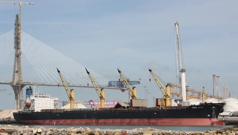 FU WANG Bulk Carrier IMO 9088639 photo 4