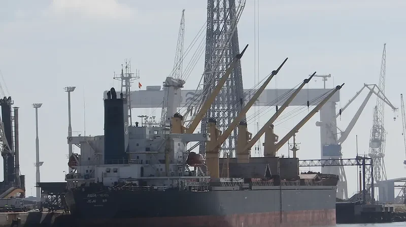 FU WANG Bulk Carrier IMO 9088639 photo 5