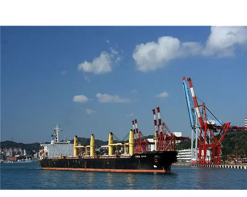 FU WANG Bulk Carrier IMO 9088639 photo 7