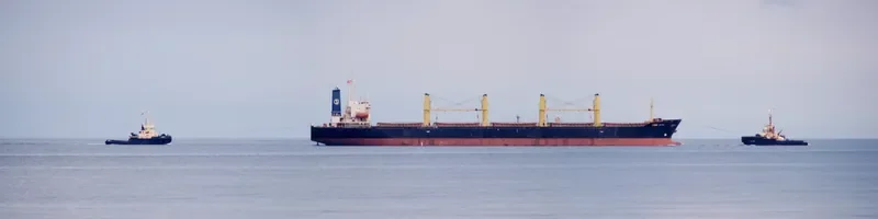 FU WANG Bulk Carrier IMO 9088639 photo 9