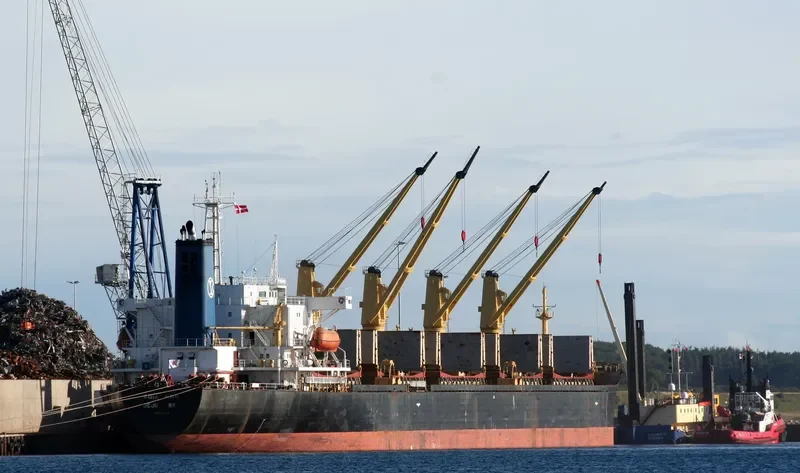 FU WANG Bulk Carrier IMO 9088639 photo 10