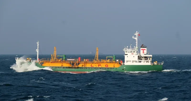 PILATUS 46 General Cargo IMO 9088677 photo 2