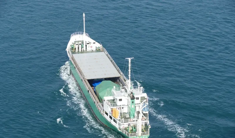 ALLIANCE NO.1 General Cargo IMO 9088770 photo 7