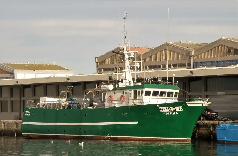 PARMA General Cargo IMO 9088926 photo 2