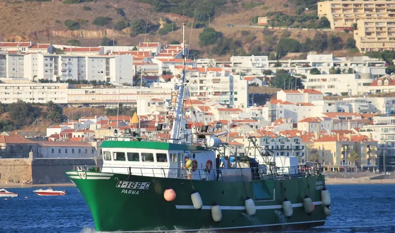 PARMA General Cargo IMO 9088926 photo 5